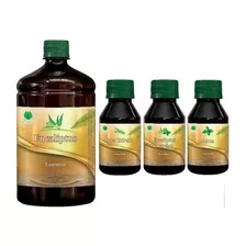 Essência De Eucalipto Concentrado + Menta Cidreira E Mentol