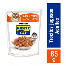 Alimento Húmedo Gato Master Cat Trocitos Jugosos Salmón 85 G
