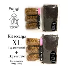 Kit Xl Avena Forrajera Precocida Esterilizada + Sustrato 