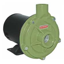 Bomba Centrífuga Centrífuga Monofásica Schneider Bc Bc-92s 1c 3cv Cor Verde 60hz 127v/220v