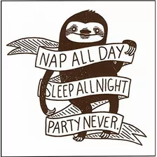 Nap All Day, Sleep All Night, Party Never Sloth Phenomenauts