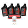 Kit Afinacin Platina Clo Kangoo Sandero C/bujias Iridium