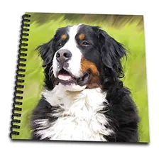 Perros Bernese Mountain Dog Bernese Mountain Dog Dibujo Li