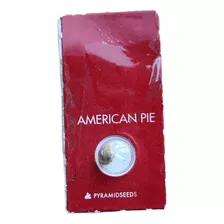 Semilla De Colección American Pie X1 - Pyramid Seed