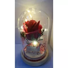 Regalo Cumpleaños Rosa Luz Led