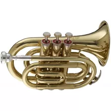 Stagg Ws Tr245 Bb Trompeta De Bolsillo Con Funda