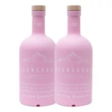 Gin Aconcagua Rosa Red Berries Pack X2 U 750ml 8 Botánicos 