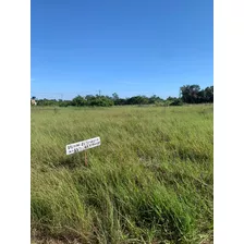 Terreno 8x33 Próximo Ao Restaurante Gold Star Água Preta.