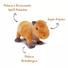 Capivara De Pelúcia Antialérgico Pequena 25cm Libélula Cor Macho