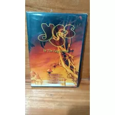 Dvd Yes In The Big Dream Lacrado Da Fabrica Original