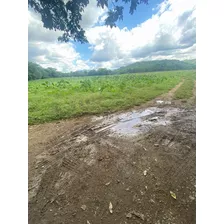 Finca En Bonao Cerca De Rio Yuboa