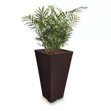 1 Vaso De Planta Rafia Palmeira Argila Quadrado Q 60x38 Cm