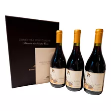 Vino Saint Felicien Pinot Noir Cosecha Historica 2013 X 3un