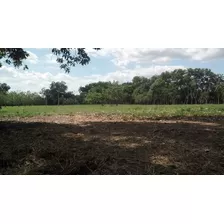 Finca Ganadera En Hatillo Monte Plata Con Acto De Venta Cuenta De 62800 Metros 100 Tareas 