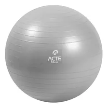 Gym Ball 55 Cm Com Bomba De Ar Cinza T9-55 - Acte Sports