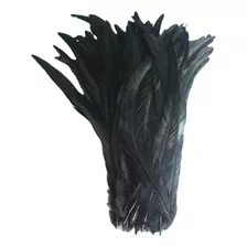 25 Plumas Cola De Gallo Sueltas 25-30cm Colores Negras 