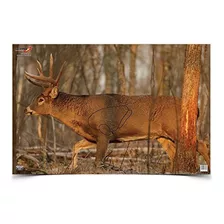 Birchwood Casey 37481 Eze-scorer Deer 23x35