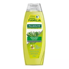 Shampoo Palmolive Naturals Limpeza Balanceada 650ml