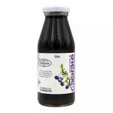 Jugo Natural De Calafate Con Stevia Anti Oxidante. Agronewen