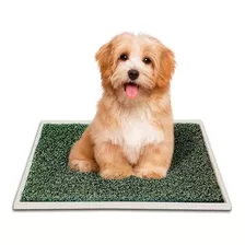 Bandeja Sanitaria Perros Cachorro 35x50 Paño Pet Mini Indoor