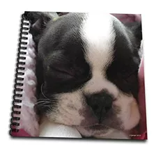 Escritura - Boston Terrier Puppy-mini Bloc De Notas, 4 X 4