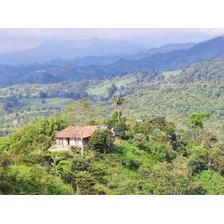 Venta De Finca Vereda La Palmera En Salento, Quindío