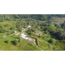 Se Vende Finca Ganadera En Puerto Berrio 