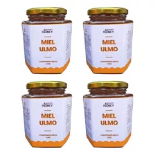 Miel De Abejas. Ulmo. Pack 4 Kg. Estación H2oney