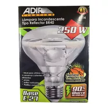 Kit 5 Focos Calienta Comida Adir 250 Watts Incandescente