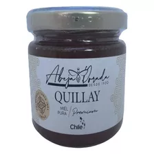 Miel Premium Quillay. Abeja Dorada 250gr.