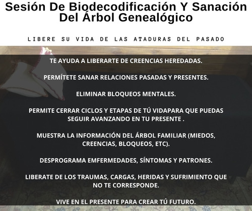 Sesión De Biodecodificación Y Sanación Del Árbol Genealógico
