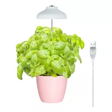 Luz Led Para Plantas Growled Charlotte- Planta Interior Color De La Luz Blanco