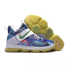 Tenis Nike Lebron Xiv Multicolor Unica Pieza Liquidacion 