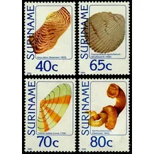 Fauna - Conchas Marinas - Surinam - Serie Mint