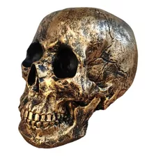 Estatueta Cranio Grande Decorativo Em Resina Dourado