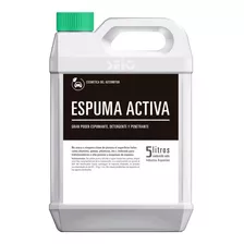 Espuma Activa Lava Autos Seiq 5 Litros