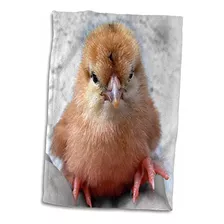 Toalla 3d Rose Silkie Para Fotografiar Pollo En Mano, 15 Uni