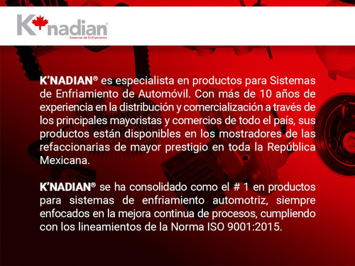 Kit Distribucion Banda Wagon L4 2.4l 87 Al 90 K-nadian Foto 4