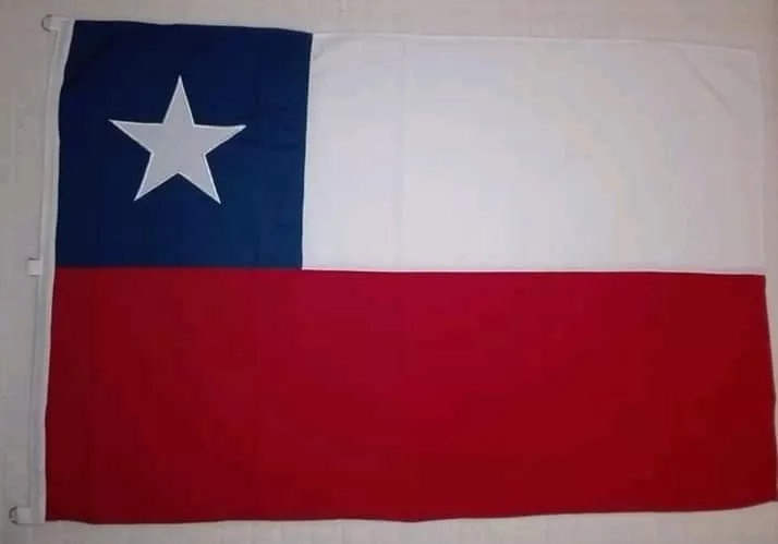 Banderas Chilenas 90 X 135 Trevira Reforzada 