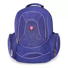 Mochila Wilson Casual Porta Laptop Hasta 16.5 Inch Color Violeta