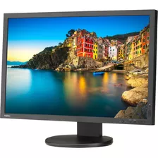 Nec P243w-bk Professional Srgb Gamut 24 16:10 Ips Monitor W