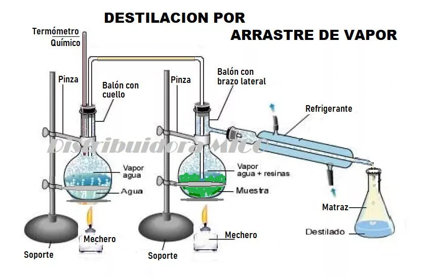 Equipo Destilación Por Arrastre A Vapor  Extrae Aceite 500ml
