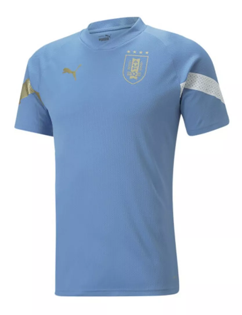 Camiseta Puma Entrenamiento Selección Uruguay Mvd Sport