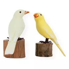 Pássaros Madeira: Casal De Canários (21a7)