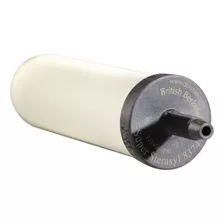 Filtro Repuesto Doulton Super Sterasyl Purificador De Agua Color Blanco
