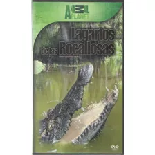 Legoz Zqz Lagartos De Las Rocallos- Dvd - Fisico - Ref- 943