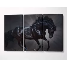 3 Quadros Em Tecido Canvas Mangalarga Marchador Cavalo Preto