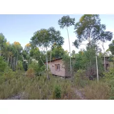 Oportunidad Única!!! Se Vende Hermosa Chacra En Estación La Floresta, Canelones. Monte De Eucalyptus Forestación. Superficie De 4,9 Hectáreas. Con 2 Construcciones.