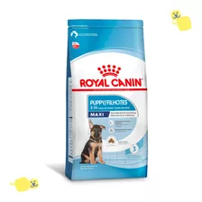 Alimento Royal Canin Maxi Puppy 4kg Ração Cachorro Filhote