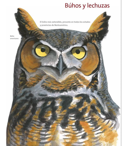 Libro De Aves - Cómo Viven Y Sienten Las Aves — imagen 2